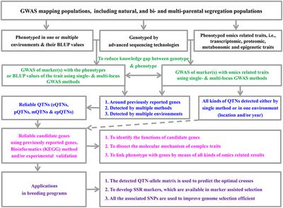 Editorial: The Applications of New Multi-Locus GWAS Methodologies in the Genetic Dissection of Complex Traits